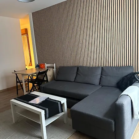 Christmas Market Cozy 1 Bedroom And 1 Convertible