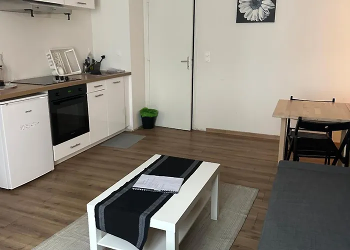 Appartement Christmas Market Cozy 1 Bedroom And 1 Convertible Strasbourg