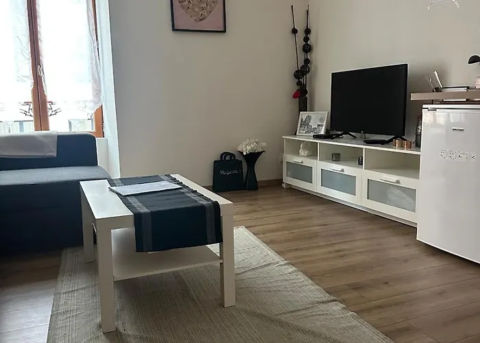 Lejlighed Christmas Market Cozy 1 Bedroom And 1 Convertible Strasbourg